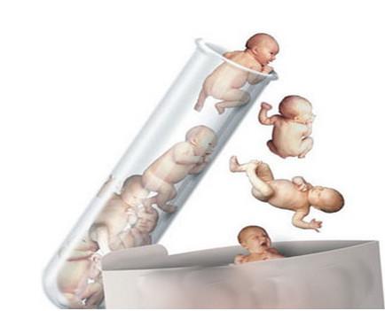 景泰胚胎实验室